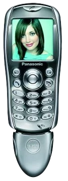 Panasonic G60